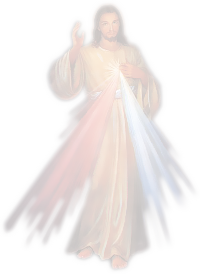 King Of Kings, Jesus Christ, Peace, Backgrounds - Jesus Divina Misericordia Png (401x549), Png Download