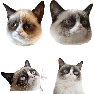 Grumpy Cat Clipart Transparent - Grumpy Cat: A Grumpy Book Ebook (400x400), Png Download