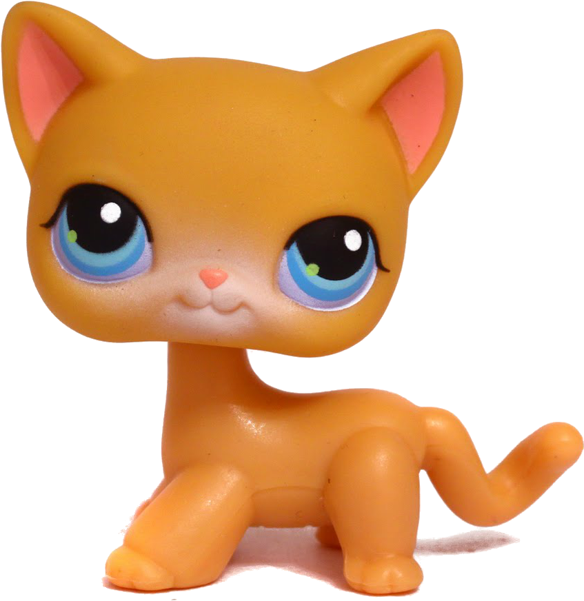 Stick Around For More Png Pets C - Lps Shorthair Cat Transparent (1600x1067), Png Download