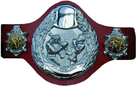 Muay Thai Champion Belt (500x500), Png Download