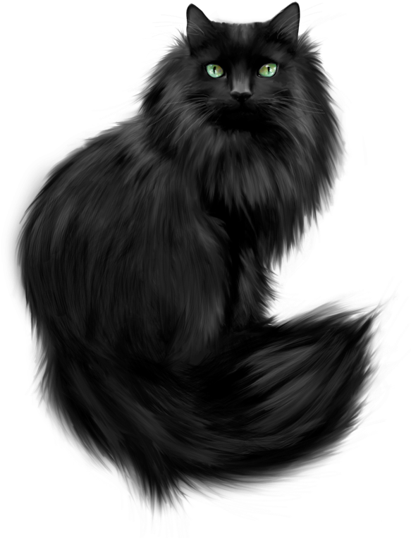 Black Cat Clipart Transparent - Black Fluffy Cat Clip Art (600x796), Png Download