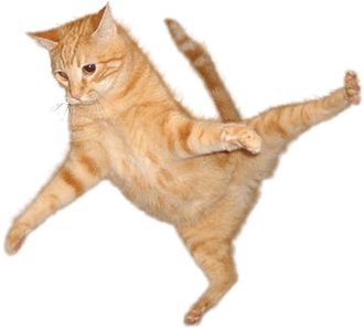 Clipart Library Stock Kitten Transparent Jumping - Cat Litter (500x375), Png Download