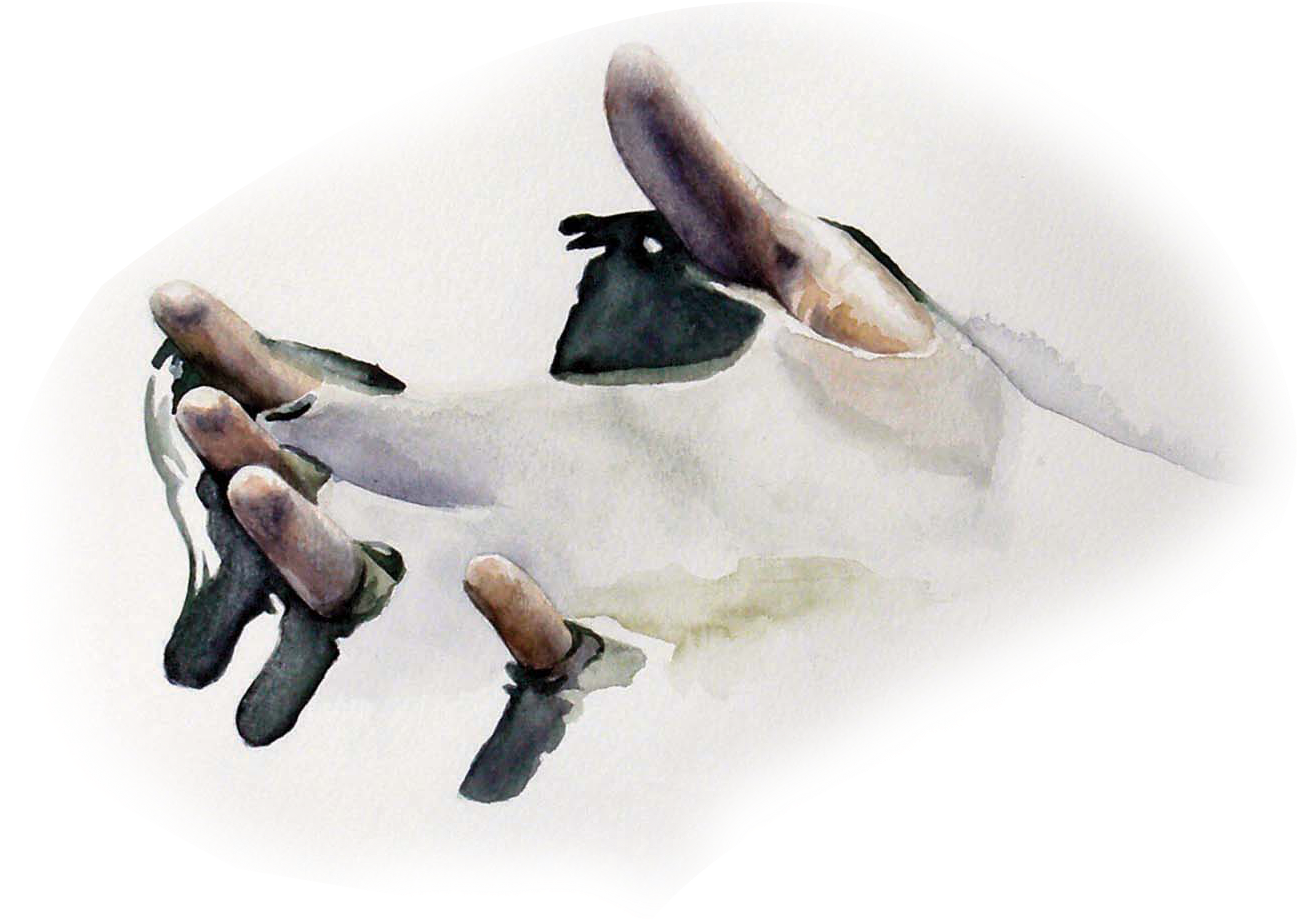 2011 - Pommel Horse (1800x1200), Png Download