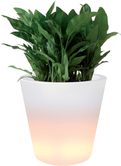 Gallery Image One - Elho Pure Straight Led Light 60 X 80 Cm Transparent (400x400), Png Download