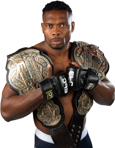 Title Holders - Professional Boxing (447x514), Png Download