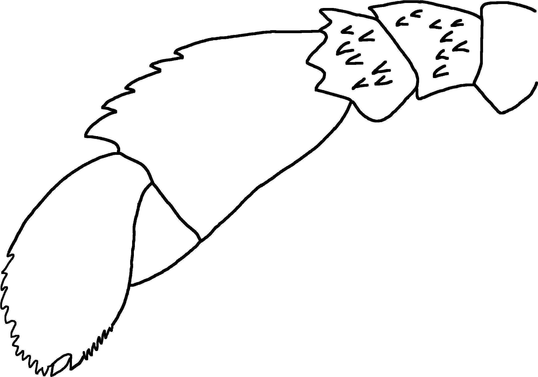 Bassipterus Virginicus Swimming Leg - Line Art (2384x1856), Png Download