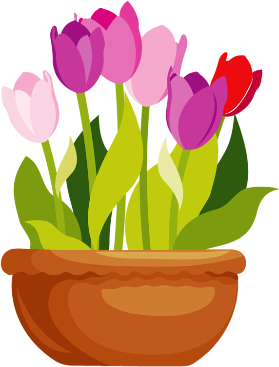 28 Collection Of Flower Pot Clipart Images - Flower Pot Vector Png (675x798), Png Download
