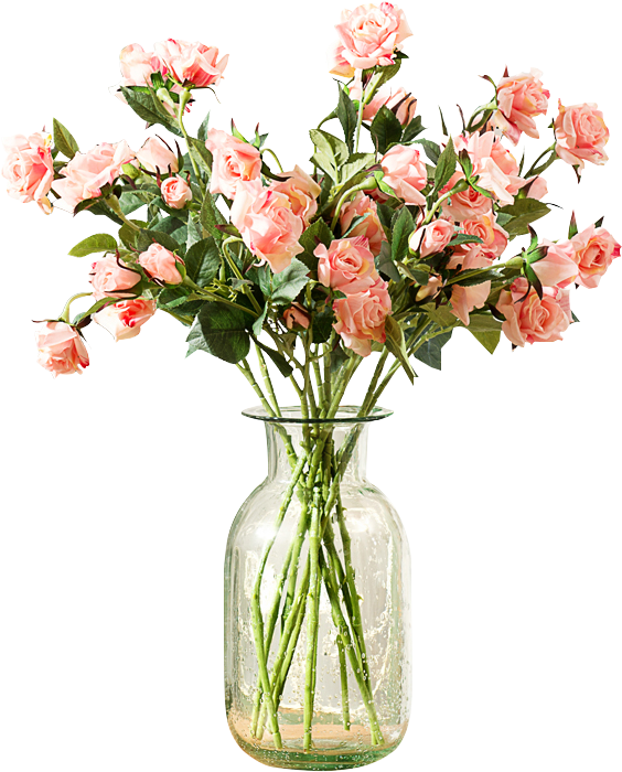Vase Png Clipart - Vaso De Flores Png (800x800), Png Download