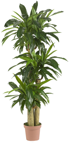 Nearly Natural Real Touchindoor/outdoor 57-inch Tropical - Tall Indoor Tropical Plants (296x600), Png Download