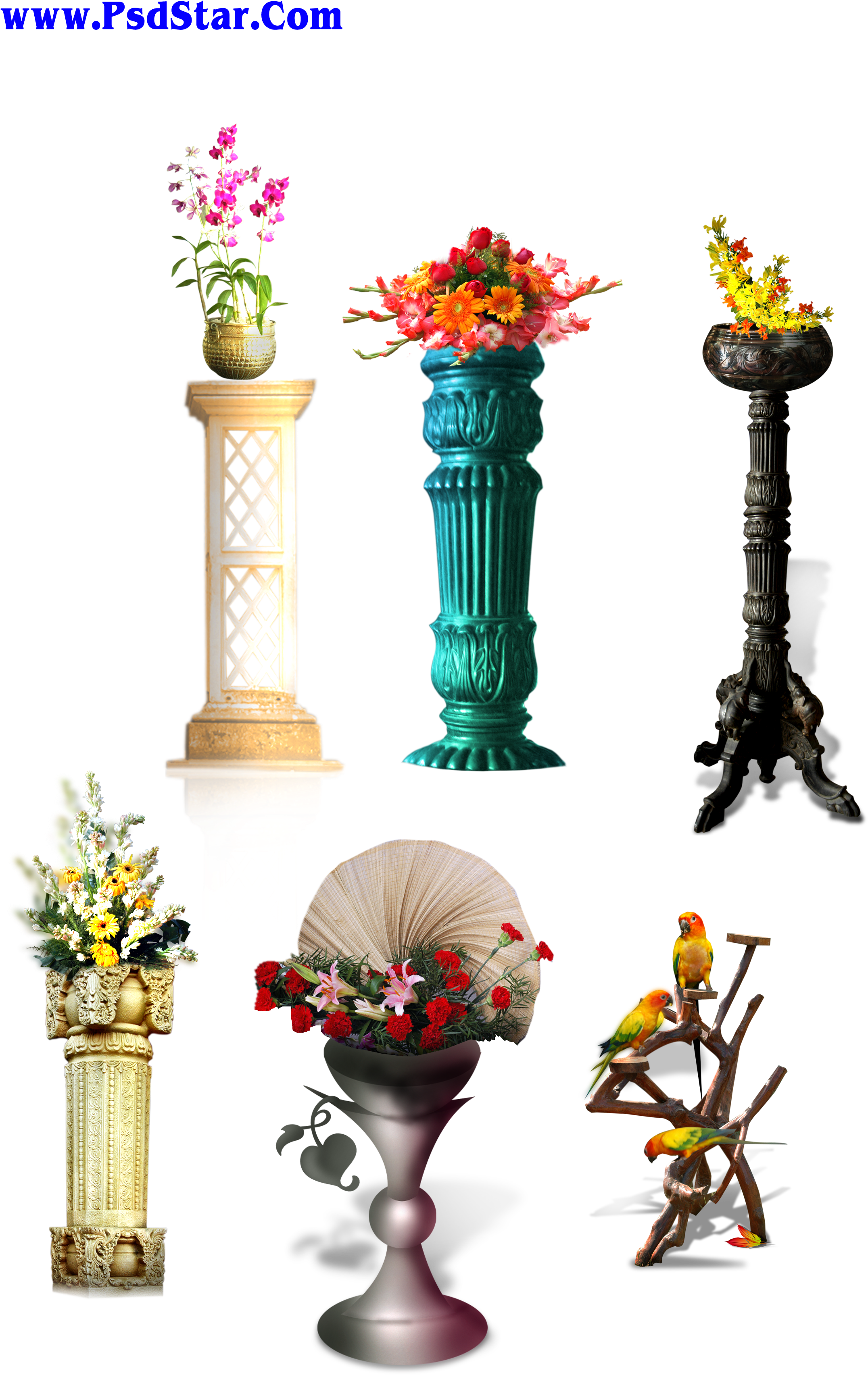 Studio Background Flowers Png (2400x3600), Png Download