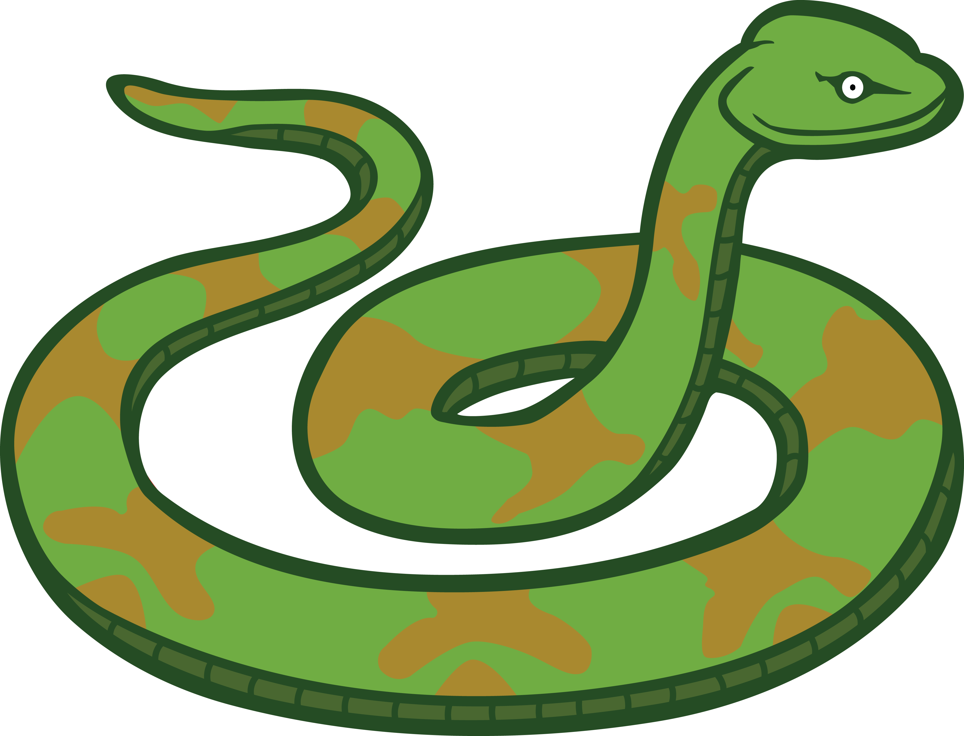 Images Of On Page Yanhe Clip Art - Snake Clipart (4000x3054), Png Download