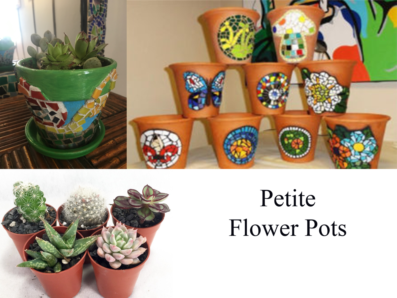 Petite Flower Pot $40 - Houseplant (1600x1200), Png Download