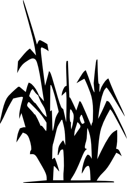 Corn Clip Art - Corn Field Clipart Black And White (414x595), Png Download