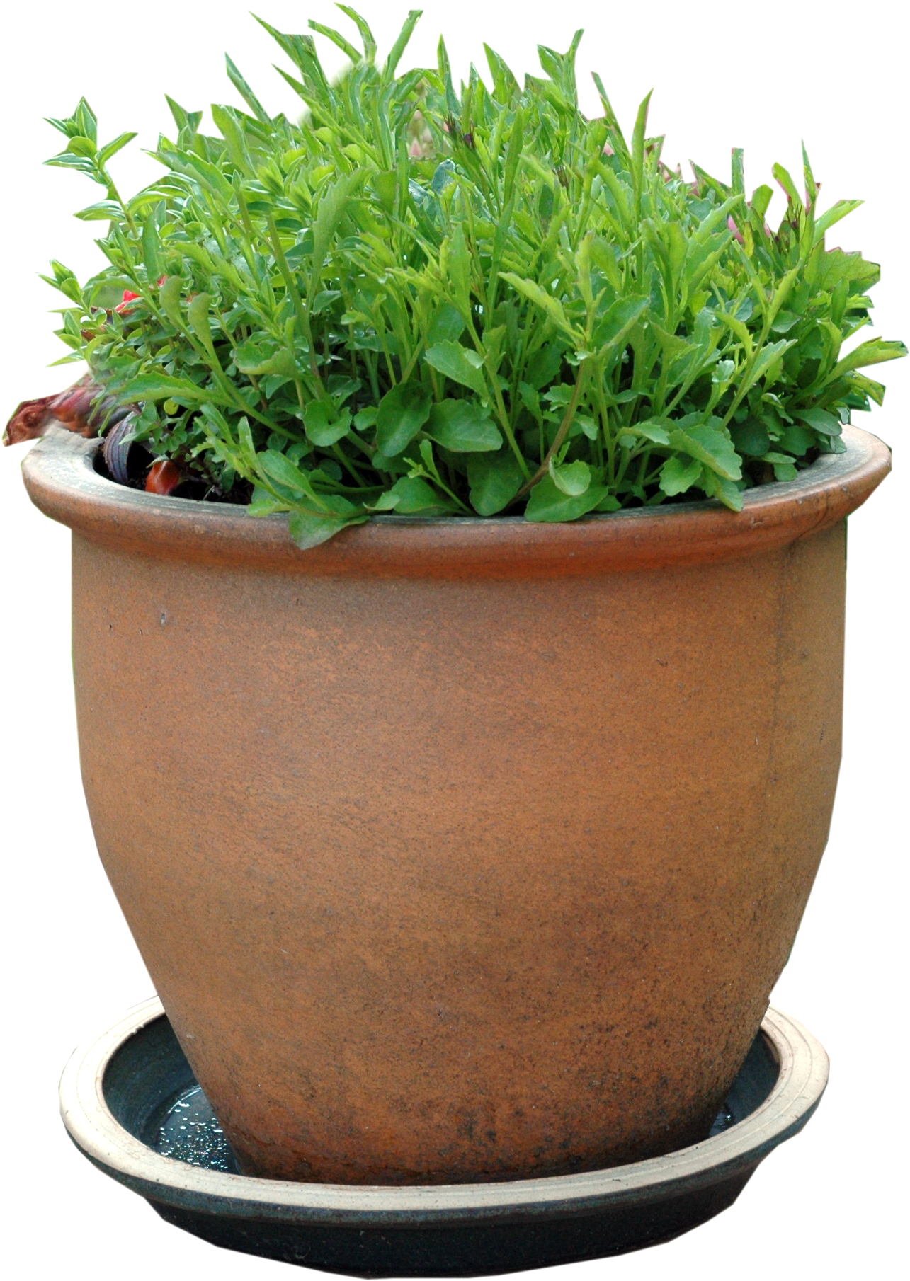 Picture - Flowerpot (1285x1810), Png Download