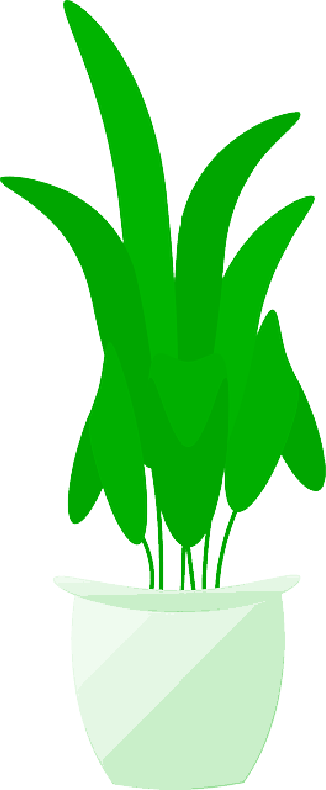 Mb Image/png - Plant In Pot (800x1600), Png Download