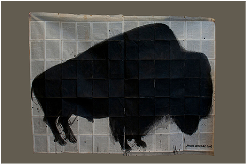 Video Impressions Bison Caravan Brasil - Bison (600x600), Png Download