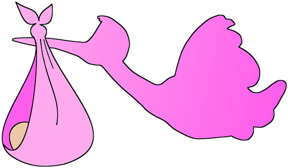 Stork, Baby, Girl, Pink, Flying - Child (569x340), Png Download