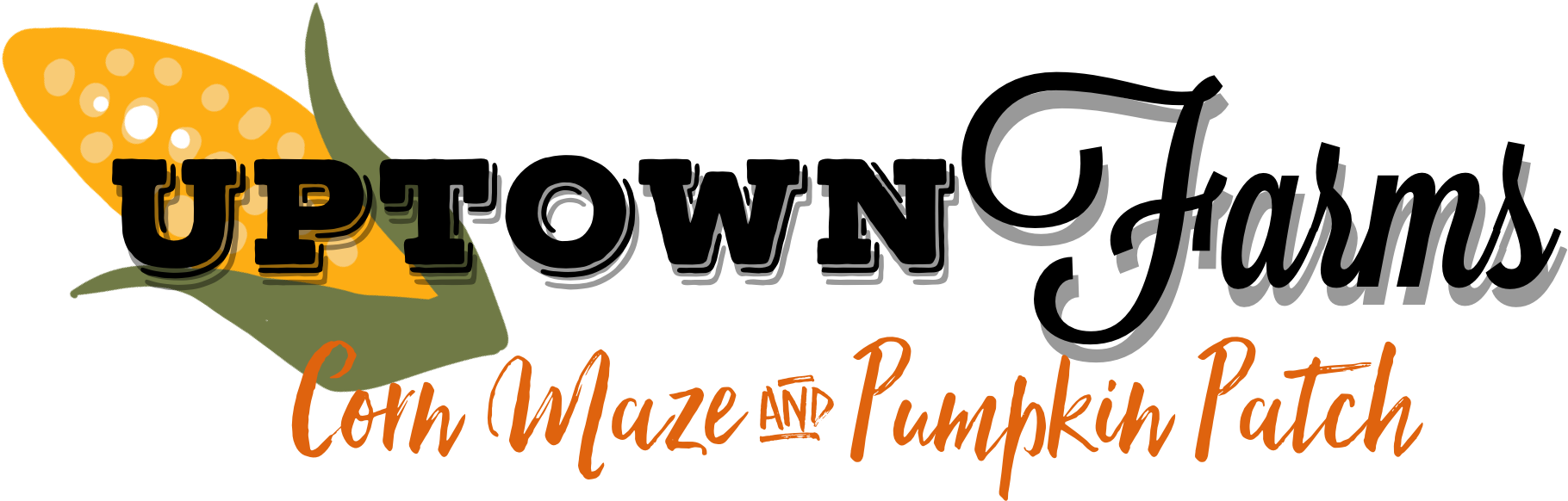 Bee Fashion (2048x1077), Png Download