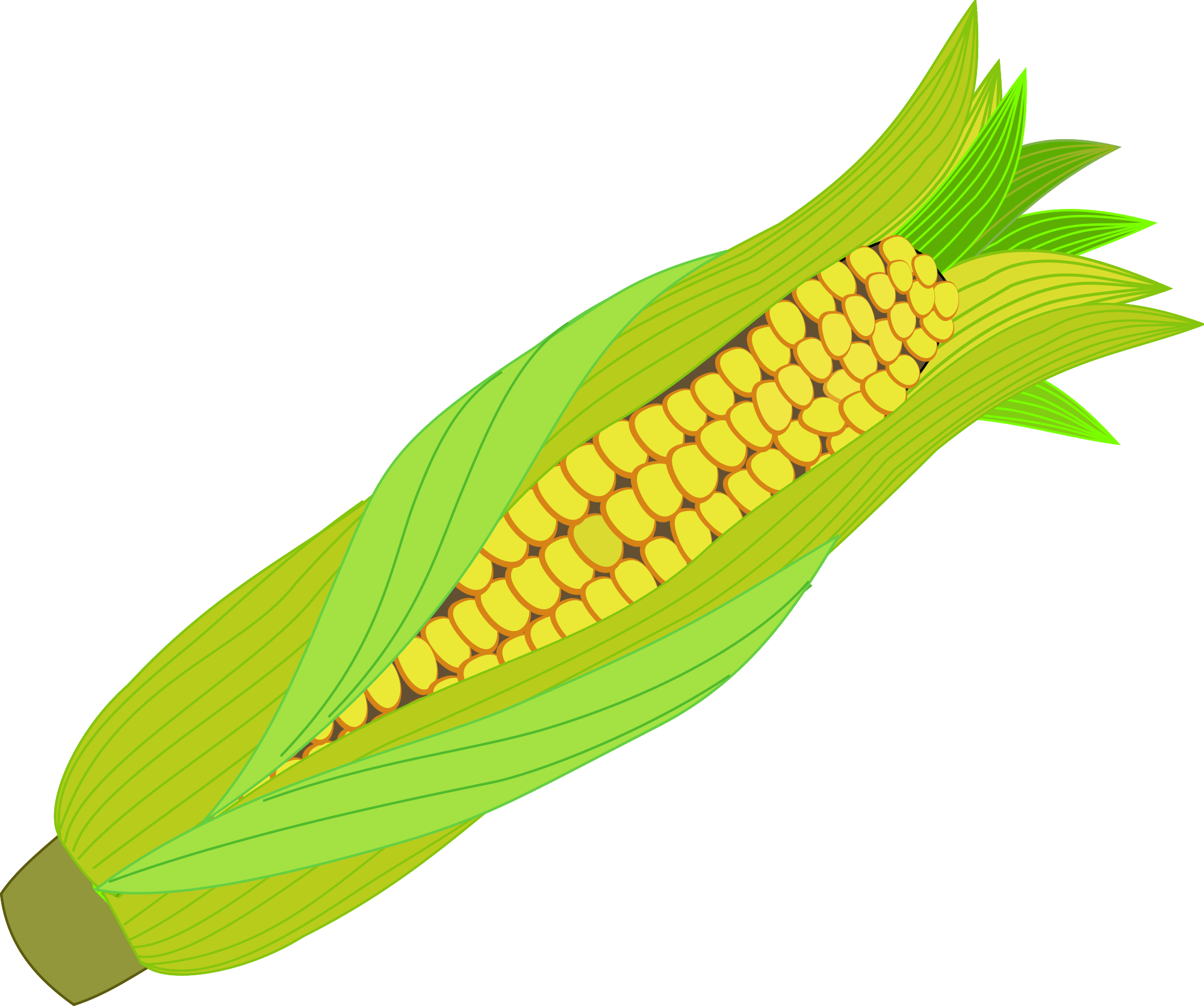 Icon Corn Cob - Corn Illustration Png (2000x1671), Png Download