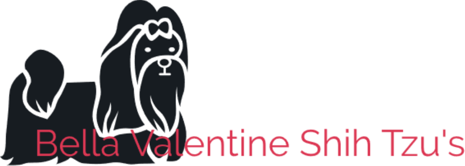 Bella Valentine Shih Tzus - Shih Tzu (919x328), Png Download