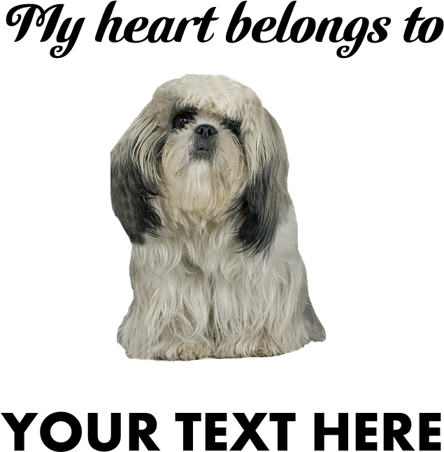 Personalized Shih Tzu Pillow Case - Personalized Shih Tzu Throw Blanket (700x700), Png Download