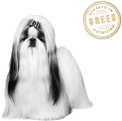 Health Is Unique For Each Breed - Royal Canin Malaysia Sdn. Bhd. (479x445), Png Download