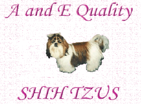 Home (476x351), Png Download