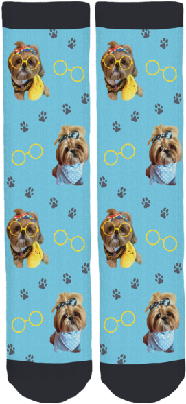 Bijou The Shih Tzu Crew Socks - Front And Back Socks (285x600), Png Download