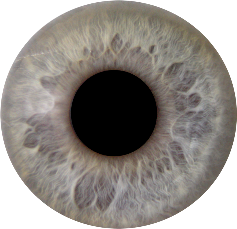 Brown Eyes Clipart Iris Eye Iris Eye Png Full Size Png Download Seekpng