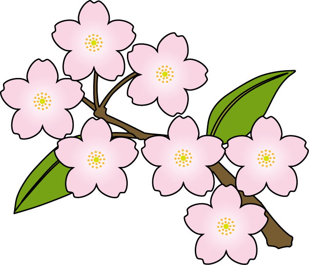 Cherry Blossoms Clipart - Cherry Blossom Clipart (633x544), Png Download