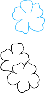 How To Draw Cherry Blossoms - Cherry Blossom (680x678), Png Download