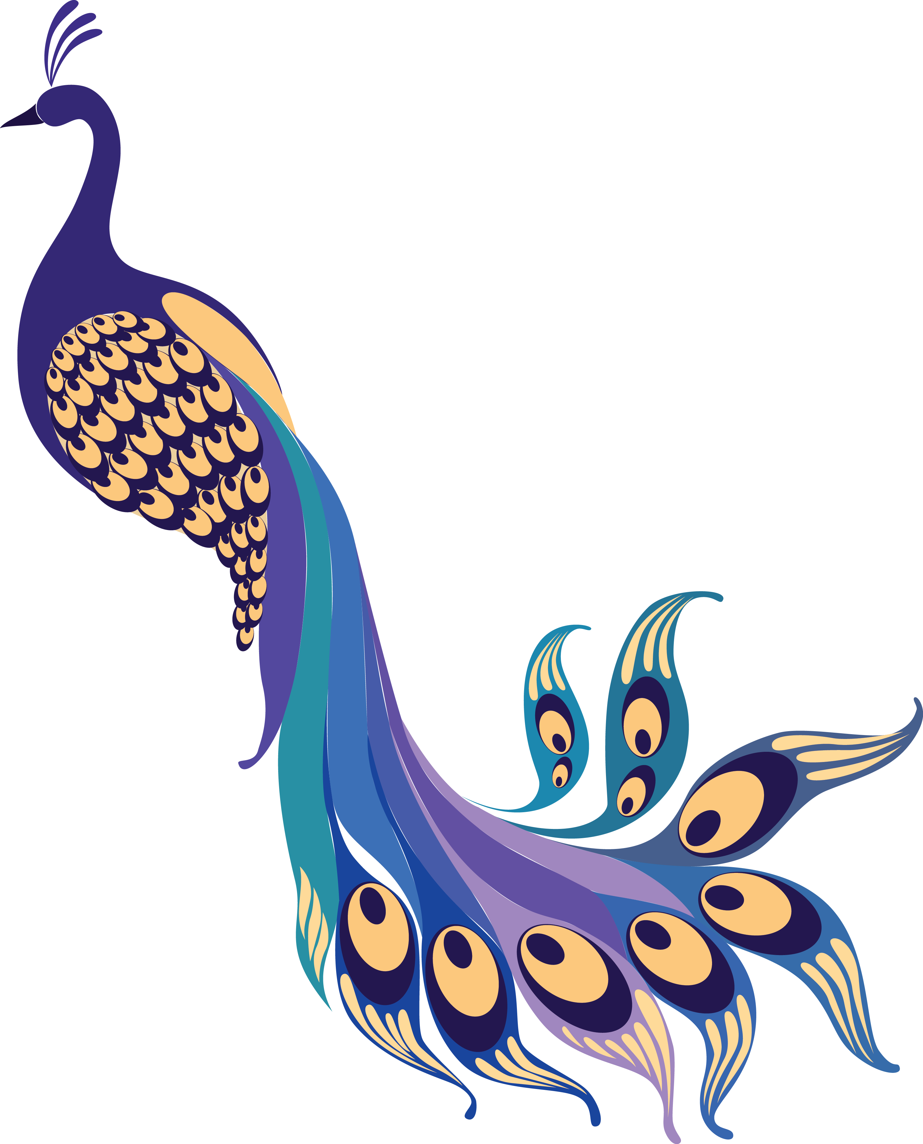 Peacock - Vector Graphics (3089x3827), Png Download