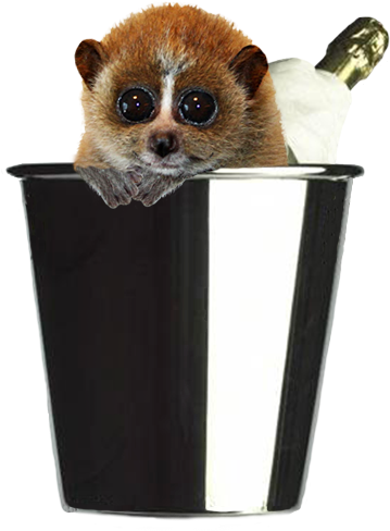 New Year Greeting From Small Animal - Happy New Year Animal 2017 Gif (386x507), Png Download