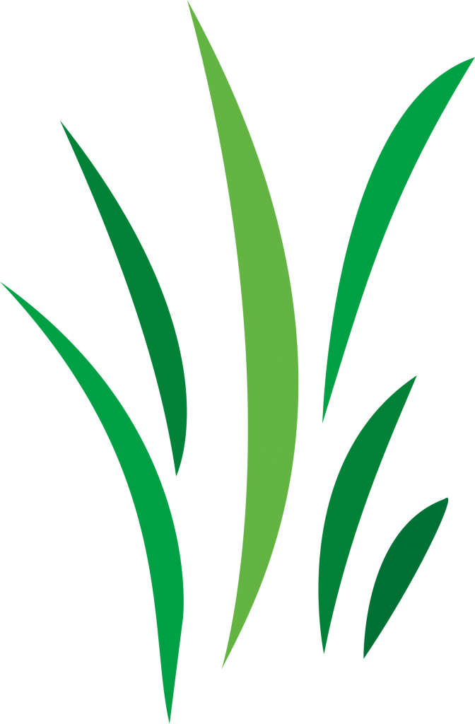 Free Cool Vector Designs Png - Illustration (672x1024), Png Download