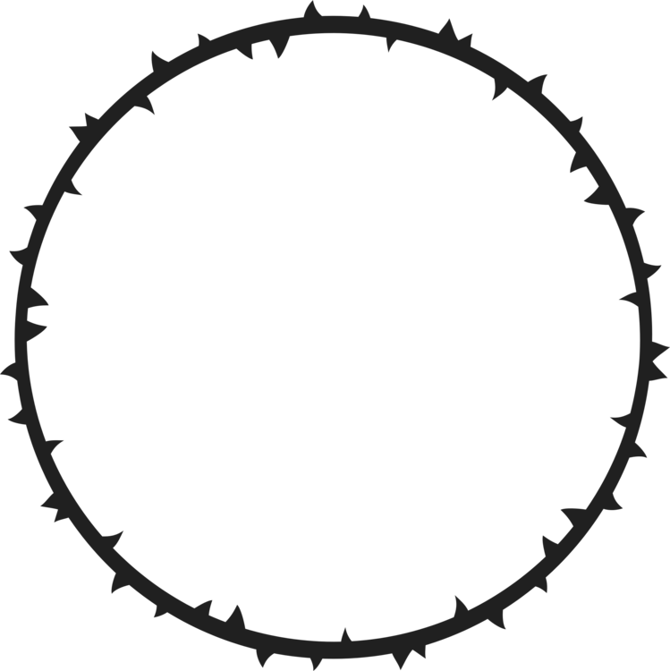 Crown Of Thorns Thorns, Spines, And Prickles Gender - Coroa De Espinhos Png (749x750), Png Download