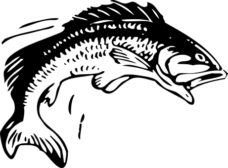 Fish Fishing Animal Seafood Fish Fish Fish - Group 11 Rugby League (461x340), Png Download