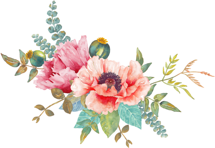 Фото, Автор Mimozochka На Яндекс (800x586), Png Download