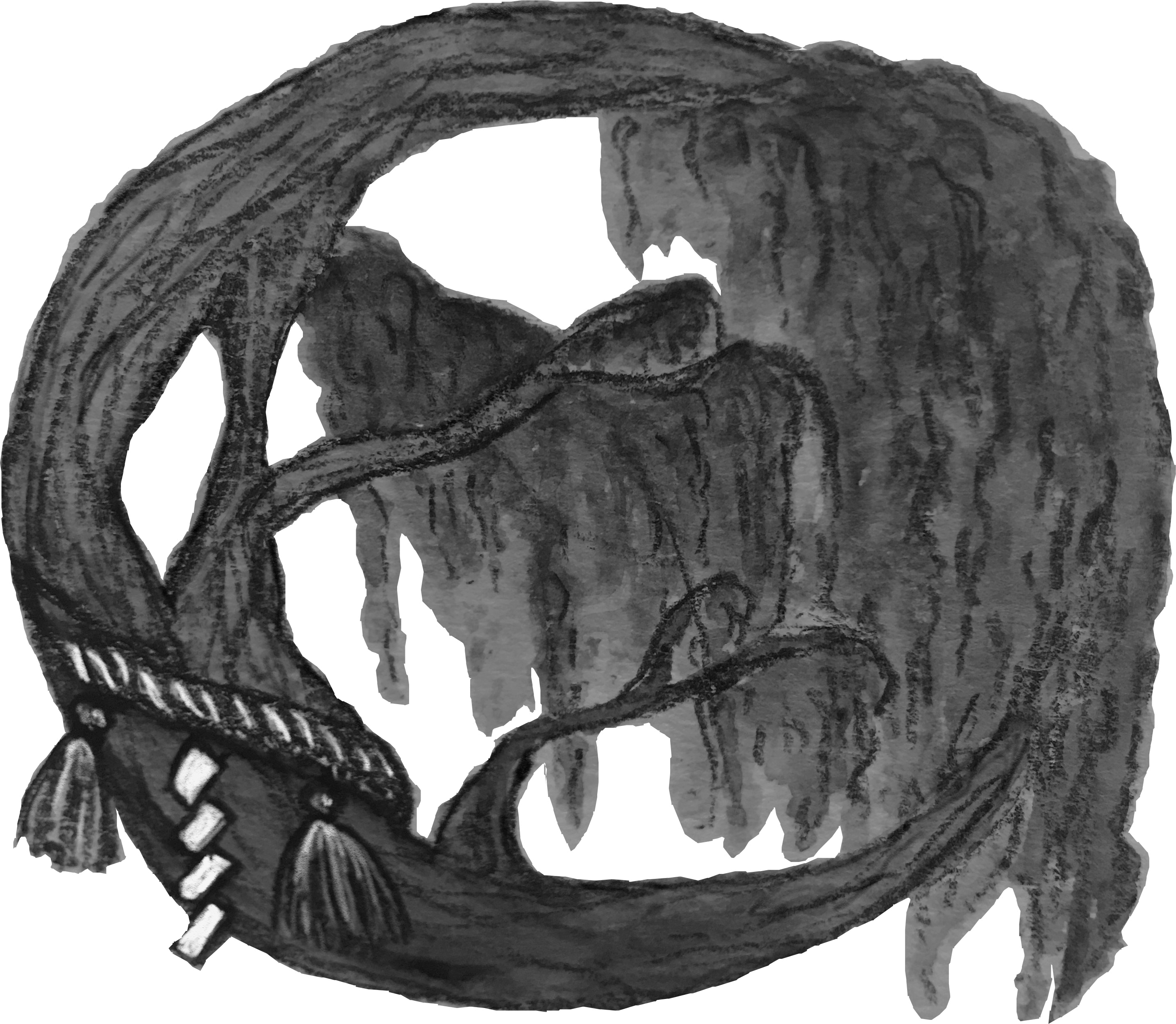 The Willow Web - World Wide Web (2869x2497), Png Download