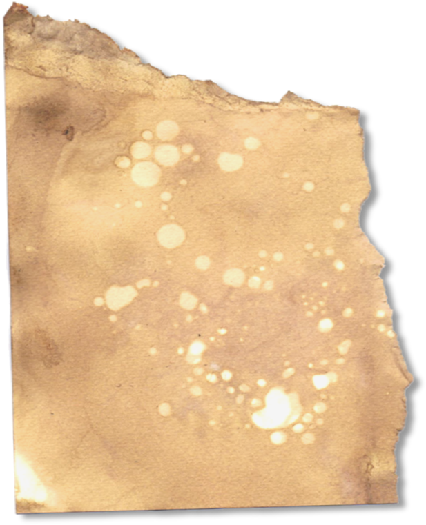 Small But Charming Garden In The Centre Of Thomastown - Leather (629x794), Png Download