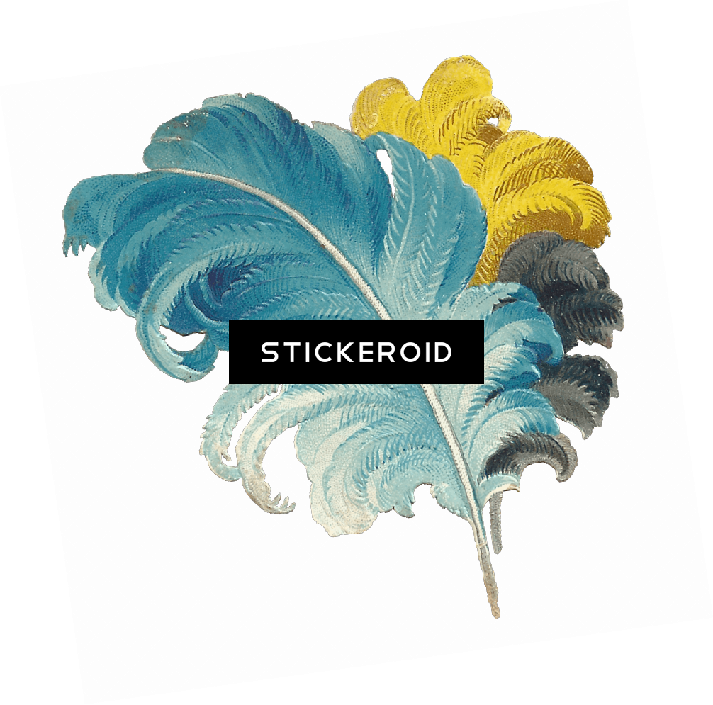 Victorian Feather Drawing Blue Yellow Black - Feather (1006x995), Png Download