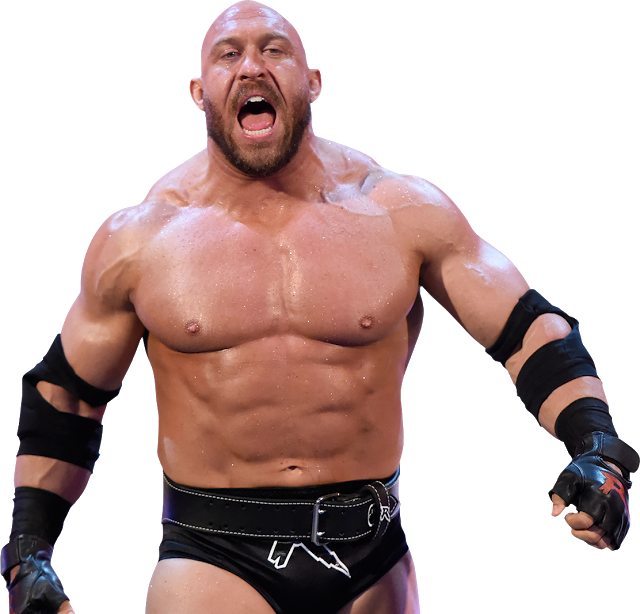 This Is A Background-free Image, It Doesn't Contain - Wwe (640x614), Png Download