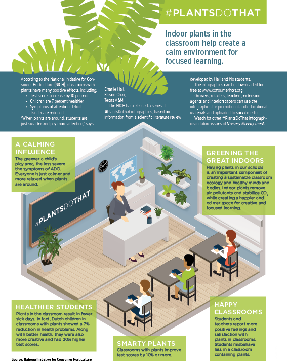 #plantsdothat - Nursery Management - Brochure (567x716), Png Download
