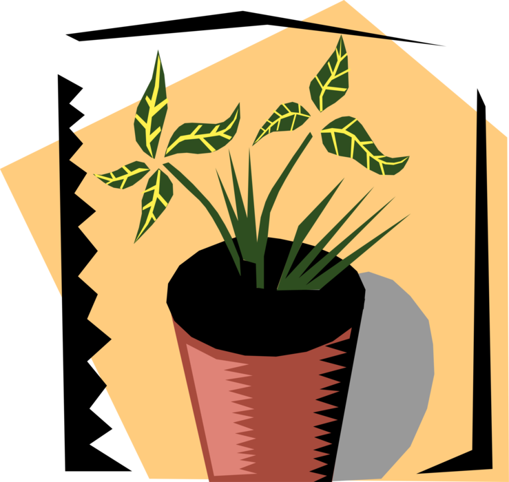 Picture Freeuse Library Houseplant With Cream Striped - Illustration (739x700), Png Download