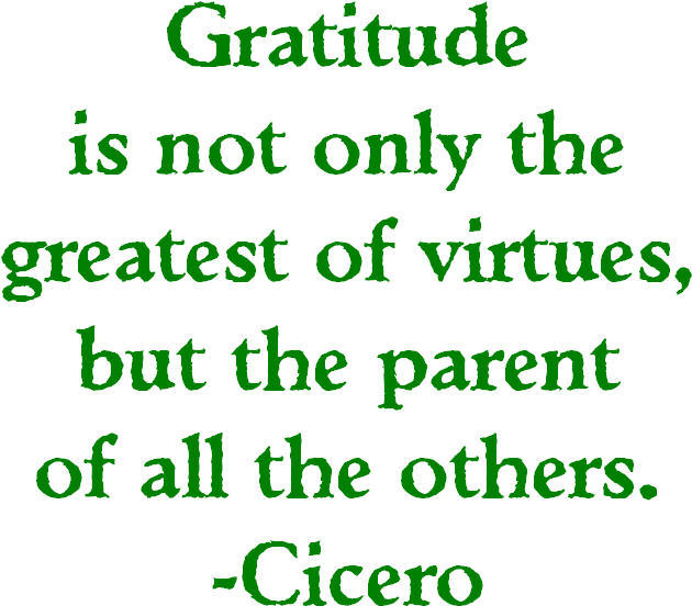 Gratitude Gives Us Perspective - Doodle Happens Magnet (638x598), Png Download