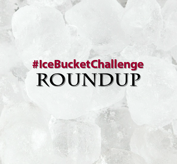 Ice Bucket Challenge Roundup - Portable Network Graphics (593x550), Png Download