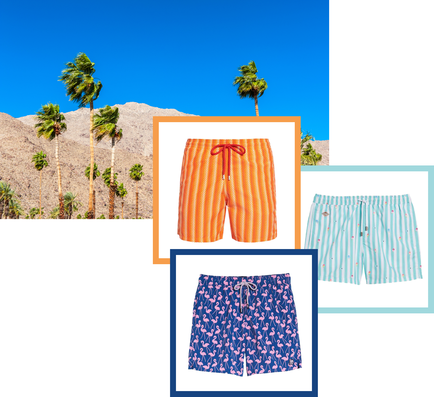 Swimsuits Inspired By Palm Springs - Attalea Speciosa (1465x1339), Png Download