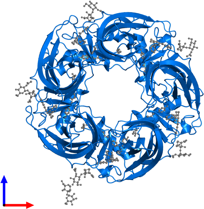 <div Class='caption-body'>pdb Entry 5afk Contains 5 - Protein Data Bank (800x800), Png Download