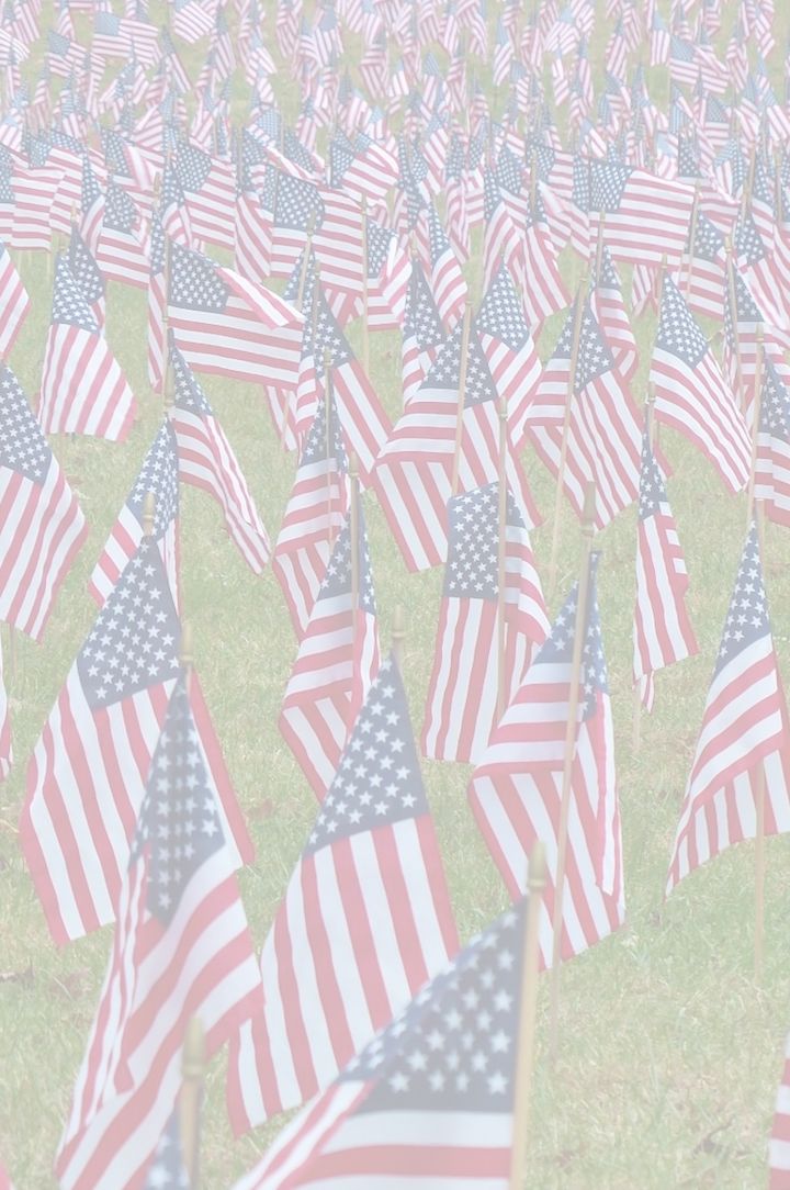 American Flag - Field Of American Flags (720x1084), Png Download