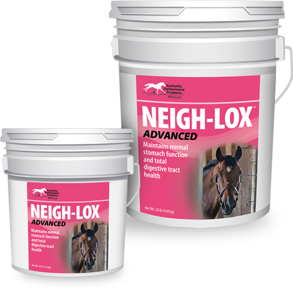 Neigh-lox® Advanced - Neigh-lox Advanced - 8lbs For Horses (600x600), Png Download