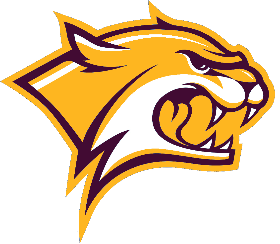 Wildcats - Unh Wildcats (1365x1024), Png Download